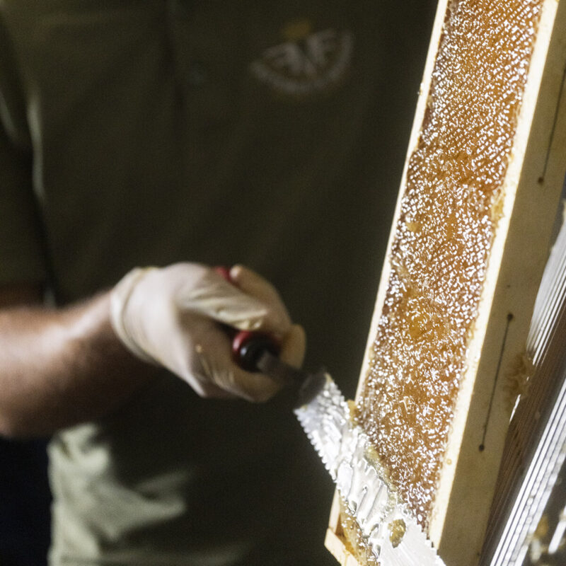 Organic woodland honey from the Botanic Garden - Fattoria di Maiano - Image 5